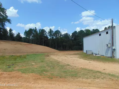 1010 Tarver Ln, Wesson, MS 39191 photo 4