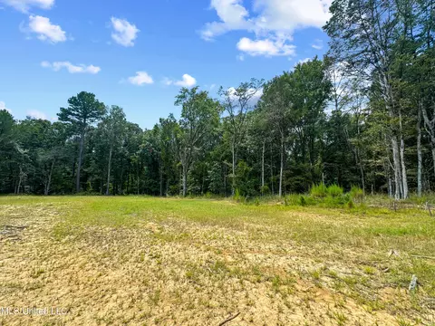 Canyon Ridge, Flora, MS 39071 photo 8