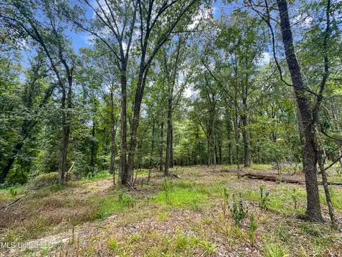 Canyon Ridge, Flora, MS 39071 photo 6