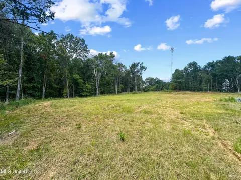 Canyon Ridge, Flora, MS 39071 photo 5
