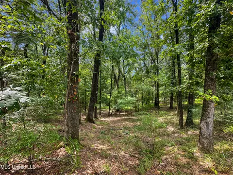 Canyon Ridge, Flora, MS 39071 photo 7