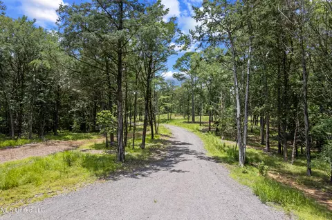 Canyon Ridge, Flora, MS 39071 photo 4