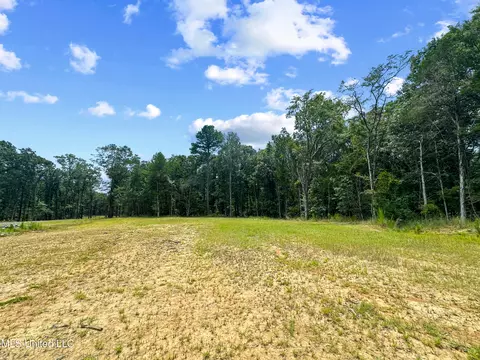 Canyon Ridge, Flora, MS 39071