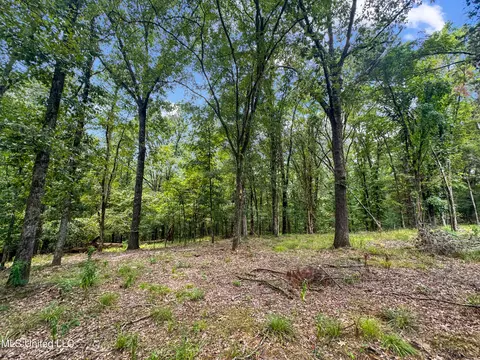 Canyon Ridge, Flora, MS 39071 photo 2
