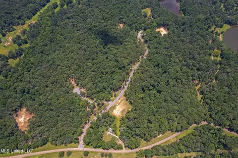 Canyon Ridge, Flora, MS 39071 photo 9