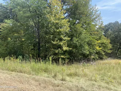 County Rd 519, Como, MS 38619 photo 4