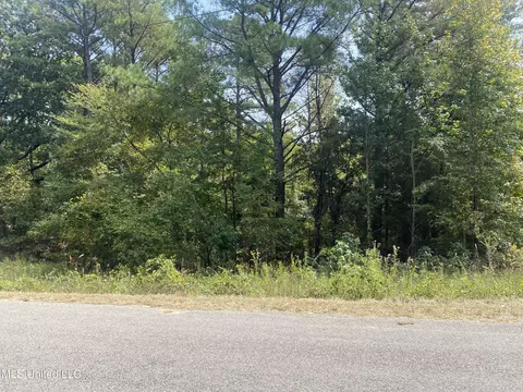County Rd 519, Como, MS 38619 photo 2