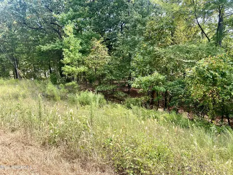 County Rd 519, Como, MS 38619 photo 5
