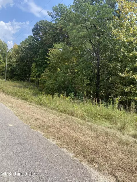 County Rd 519, Como, MS 38619 photo 3