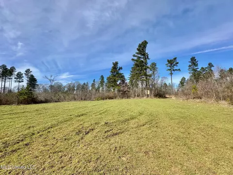 3 Dry Grove Rd, Terry, MS 39170 photo 16