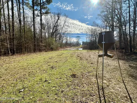 3 Dry Grove Rd, Terry, MS 39170 photo 41