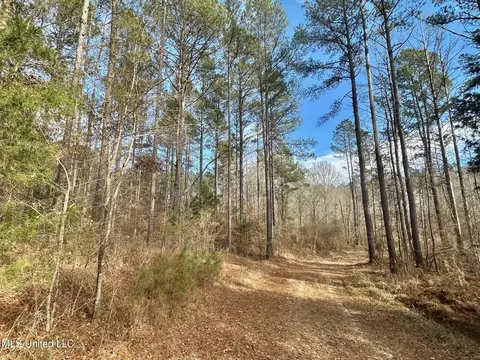 3 Dry Grove Rd, Terry, MS 39170 photo 25