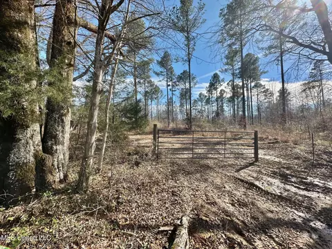 3 Dry Grove Rd, Terry, MS 39170 photo 23