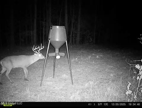 3 Dry Grove Rd, Terry, MS 39170 photo 75