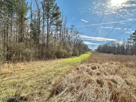 3 Dry Grove Rd, Terry, MS 39170 photo 57