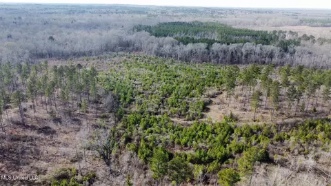 3 Dry Grove Rd, Terry, MS 39170 photo 38