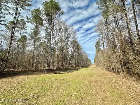 3 Dry Grove Rd, Terry, MS 39170 photo 43