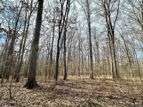 3 Dry Grove Rd, Terry, MS 39170 photo 50