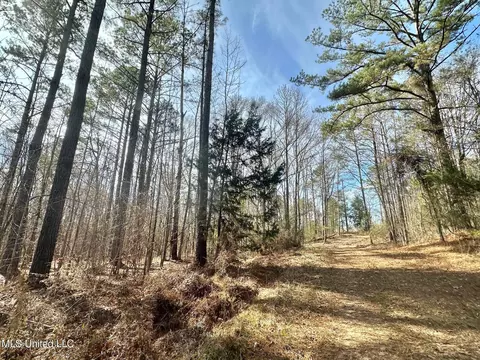 3 Dry Grove Rd, Terry, MS 39170 photo 22