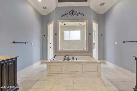 Bath - 430 Johnstone Dr, Madison, MS 39110 photo 3 of 4
