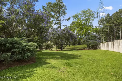 Exterior - 430 Johnstone Dr, Madison, MS 39110 photo 13 of 17