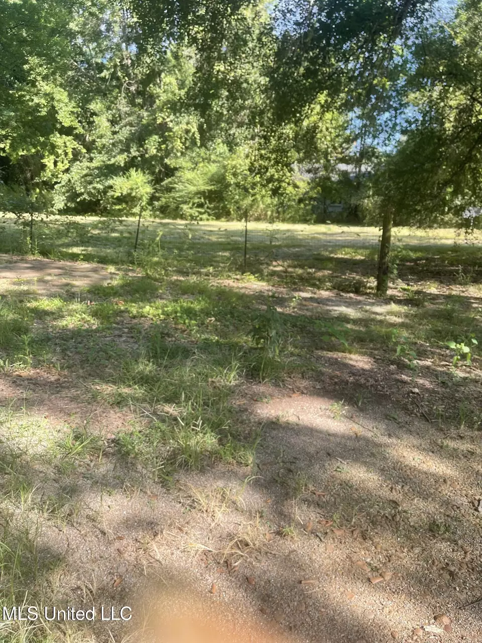  311 Cisne Ave, Canton, MS 39046 photo 5