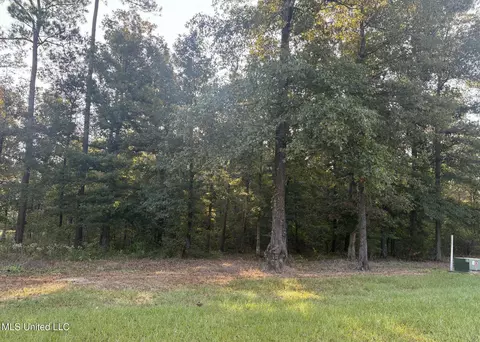 00 Shire Ave, Forest, MS 39074