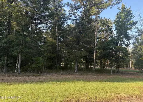 00 Shire Ave, Forest, MS 39074 photo 2