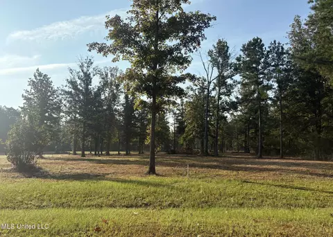 00 Shire Ave, Forest, MS 39074 photo 1