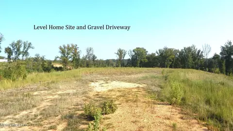 85 Storm Cv, Grenada, MS 38901