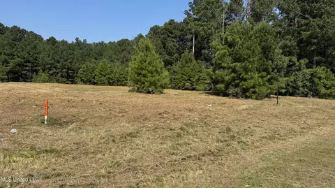 01 S Hwy 35 Hwy, Forest, MS 39074