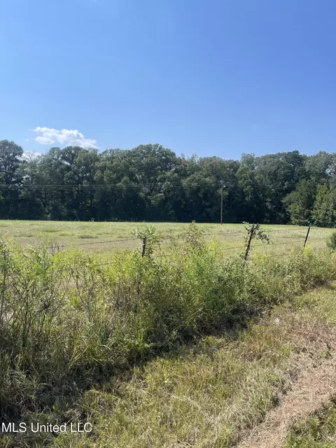 000 Brownswell Rd, Wesson, MS 39191 photo 5