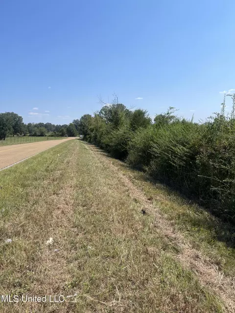 000 Brownswell Rd, Wesson, MS 39191 photo 12