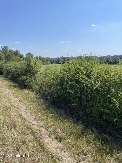 000 Brownswell Rd, Wesson, MS 39191 photo 8
