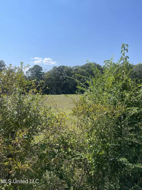 000 Brownswell Rd, Wesson, MS 39191 photo 3