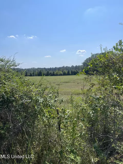 000 Brownswell Rd, Wesson, MS 39191 photo 2