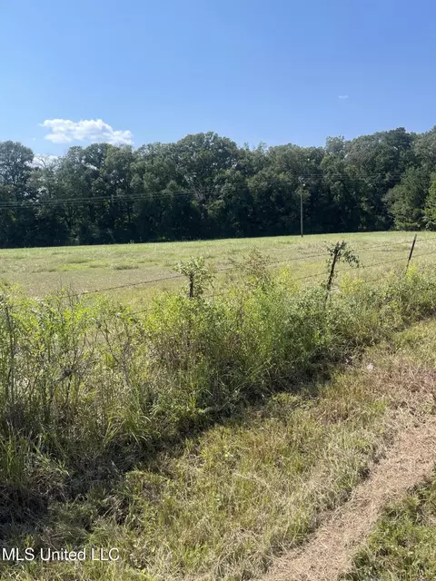 000 Brownswell Rd, Wesson, MS 39191 photo 11