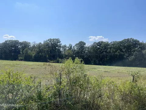 000 Brownswell Rd, Wesson, MS 39191 photo 6