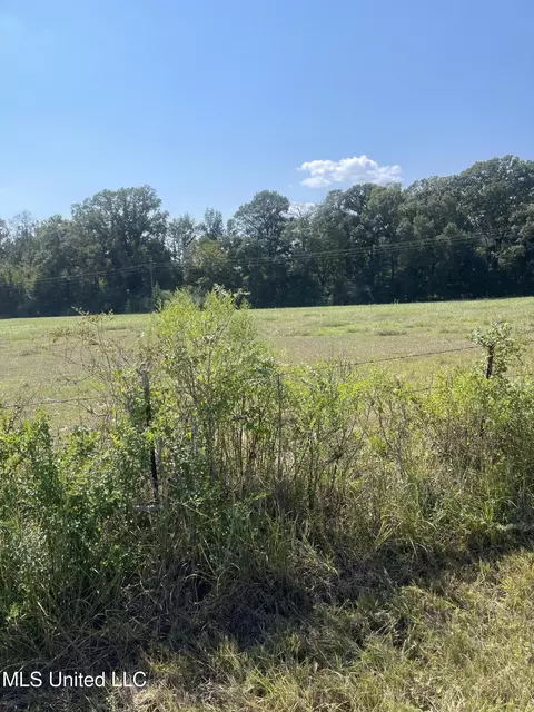 000 Brownswell Rd, Wesson, MS 39191 photo 10