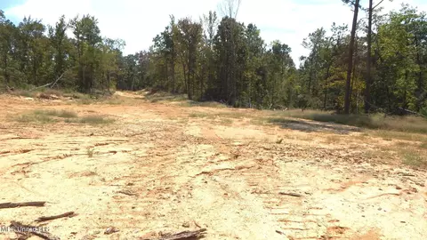 2380 213 Country Rd, Grenada, MS 38901 photo 33