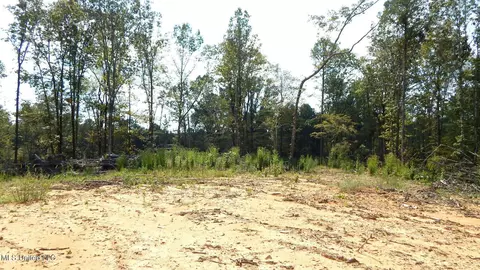 2380 213 Country Rd, Grenada, MS 38901 photo 35