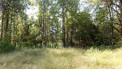 2380 213 Country Rd, Grenada, MS 38901 photo 14