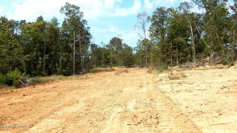 2380 213 Country Rd, Grenada, MS 38901 photo 18