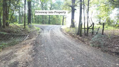 2380 213 Country Rd, Grenada, MS 38901 photo 3