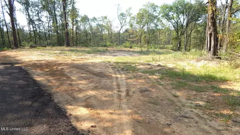 2380 213 Country Rd, Grenada, MS 38901 photo 4