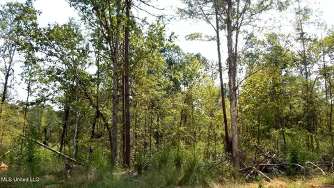 2380 213 Country Rd, Grenada, MS 38901 photo 11
