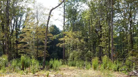 2380 213 Country Rd, Grenada, MS 38901 photo 34
