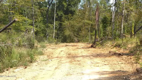 2380 213 Country Rd, Grenada, MS 38901 photo 29