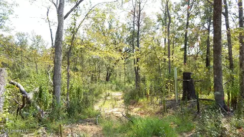2380 213 Country Rd, Grenada, MS 38901 photo 31