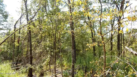 2380 213 Country Rd, Grenada, MS 38901 photo 10